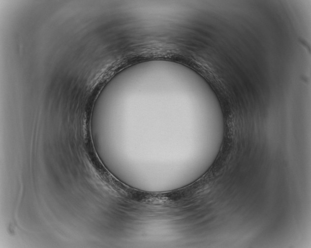 X0000103170642200808221129