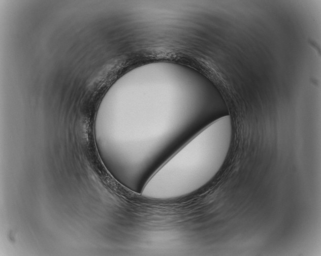 X0000103170643200808221129