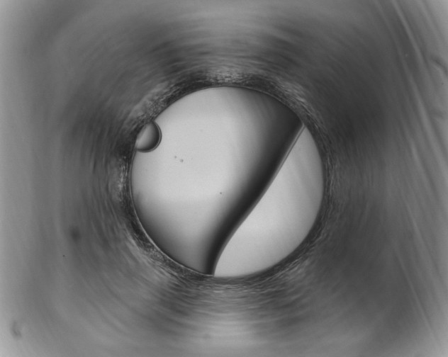 X0000103170645200808221129