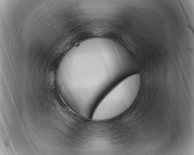 X0000103170646200808221129