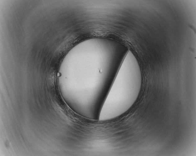 X0000103170647200808221129