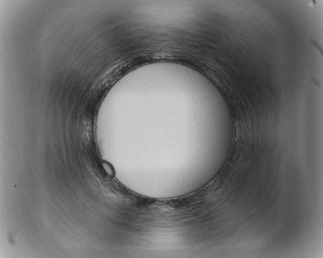 X0000103170648200808221129