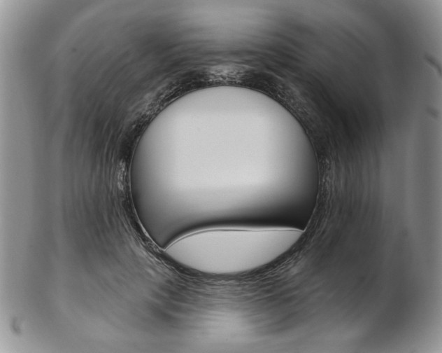 X0000103170649200808221129