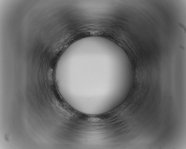 X0000103170650200808221129