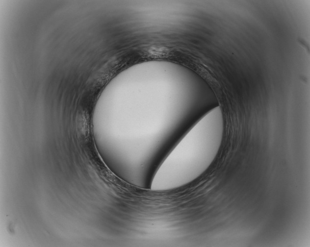 X0000103170651200808221129