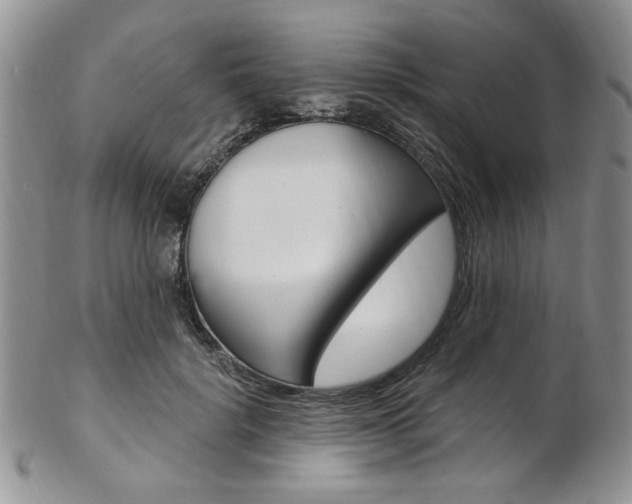 X0000103170652200808221129