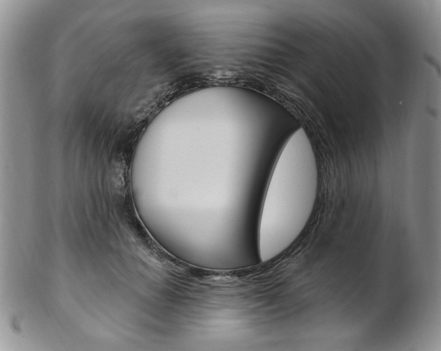 X0000103170654200808221129
