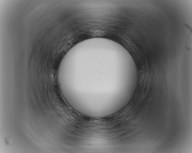 X0000103170655200808221129