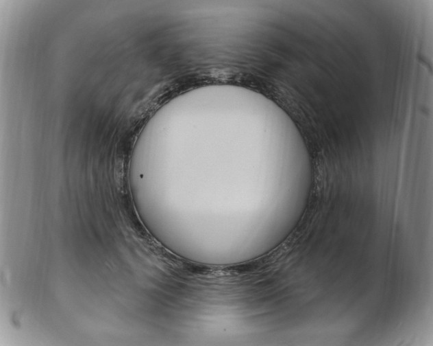 X0000103170656200808221129
