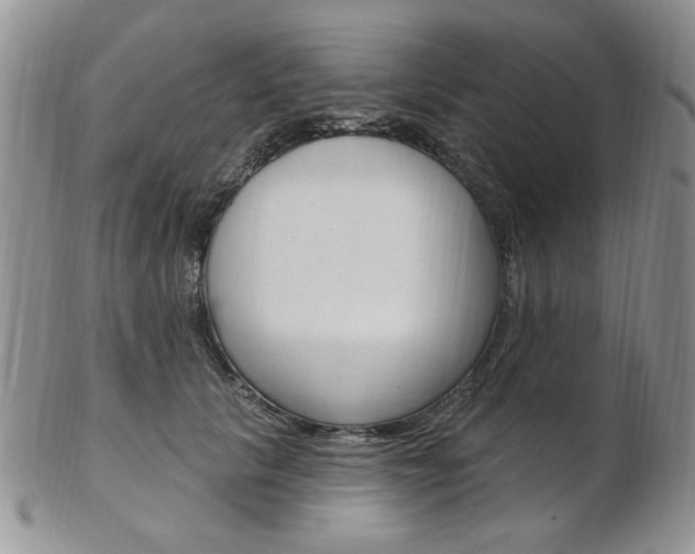 X0000103170657200808221129