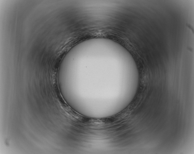 X0000103170658200808221129