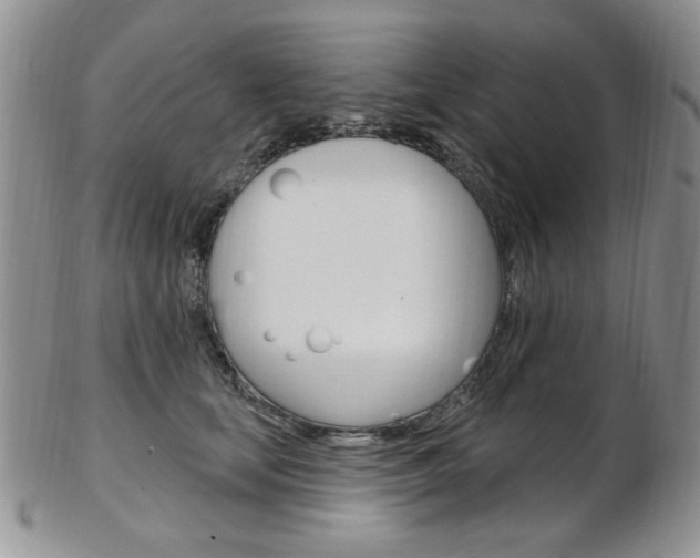 X0000103170659200808221129