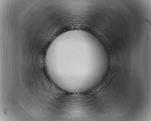 X0000103170661200808221129