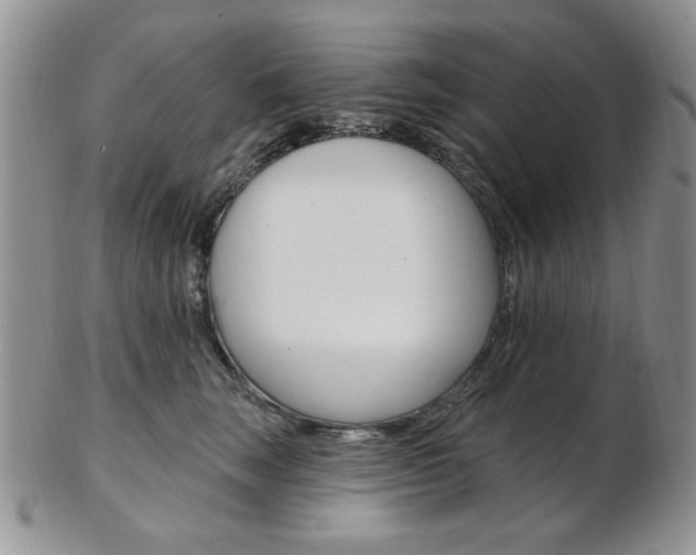 X0000103170663200808221129