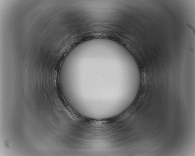X0000103170664200808221129