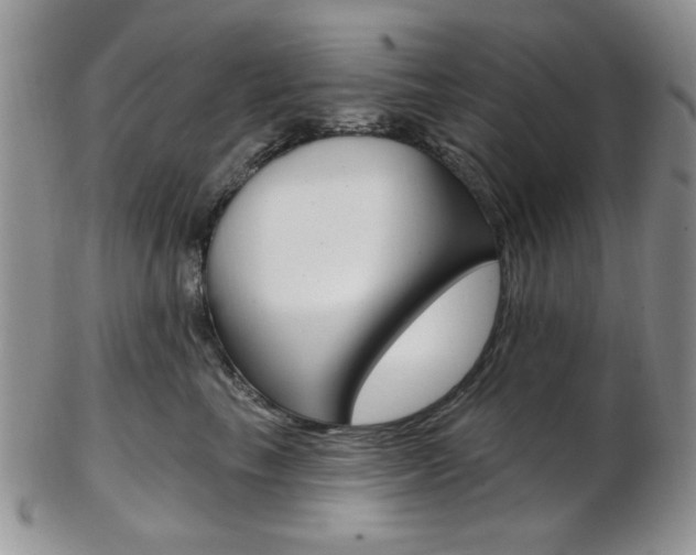 X0000103170665200808221129