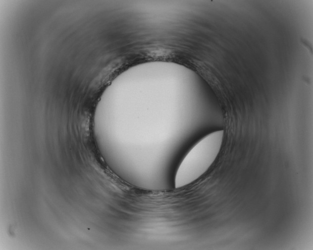 X0000103170668200808221129