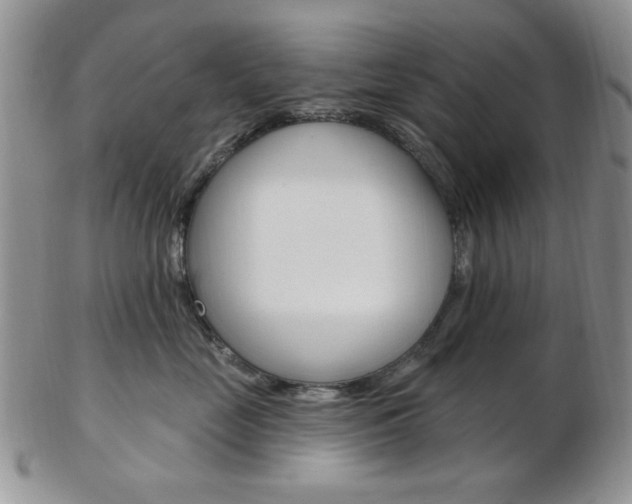 X0000103170669200808221129