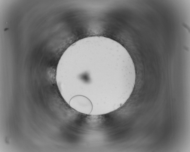 X0000103170672200808221129