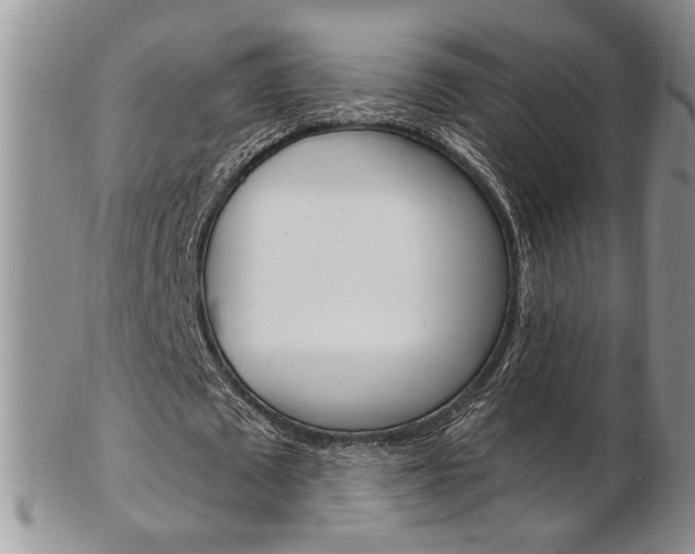 X0000103170673200808221129