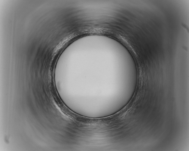 X0000103170674200808221129