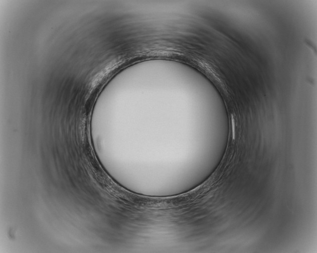 X0000103170675200808221128