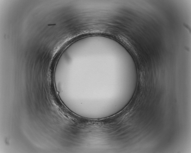 X0000103170676200808221128