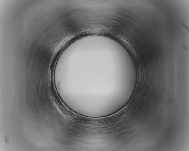 X0000103170678200808221128