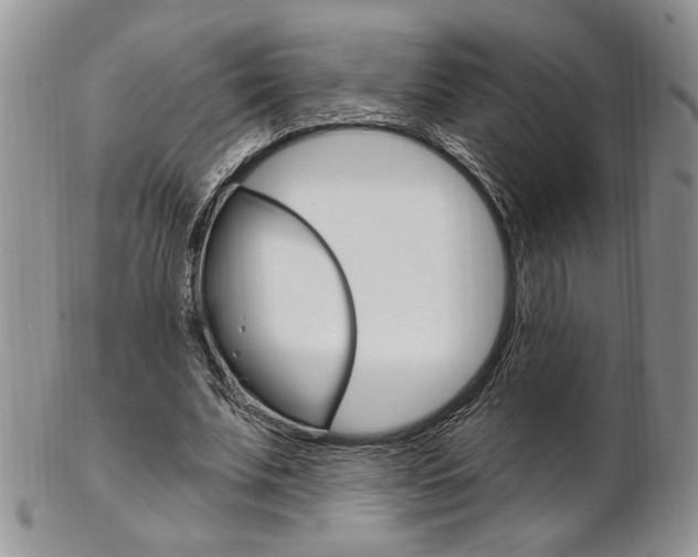X0000103170679200808221128