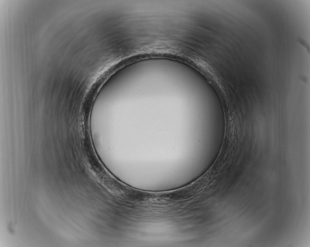 X0000103170680200808221128