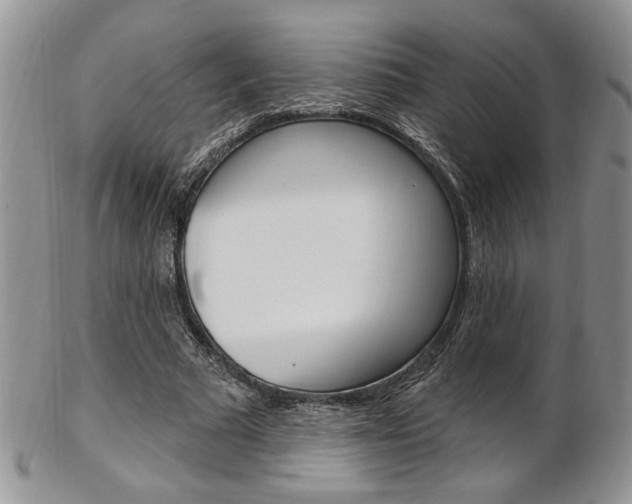 X0000103170681200808221128
