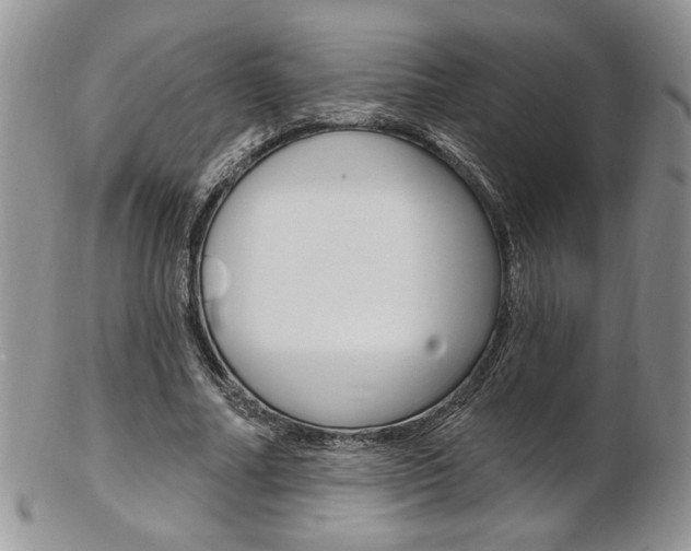 X0000103170682200808221128