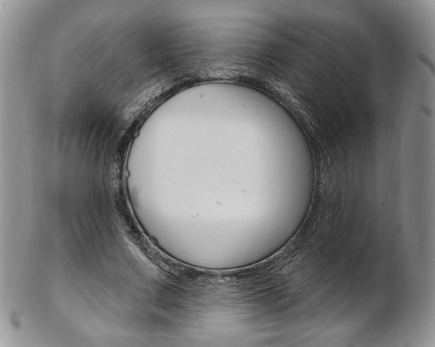 X0000103170683200808221128