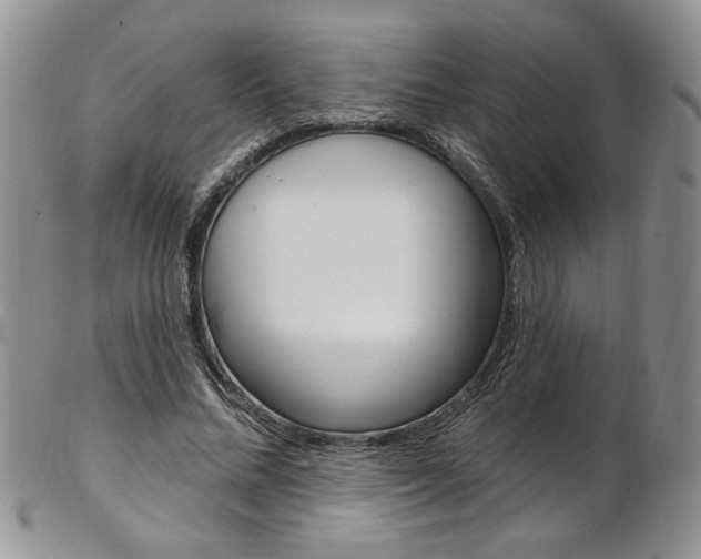 X0000103170684200808221128