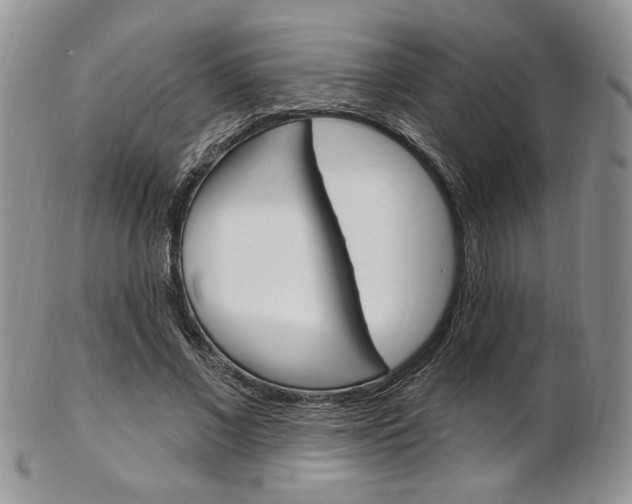 X0000103170685200808221128