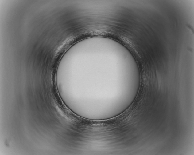 X0000103170686200808221128