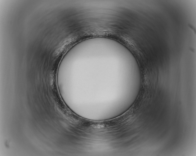 X0000103170687200808221128