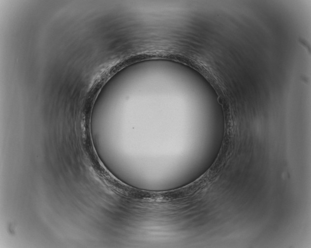 X0000103170688200808221128