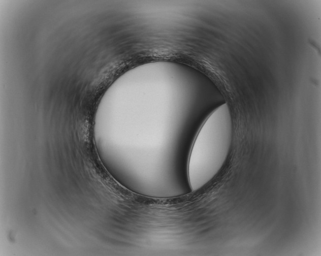 X0000103170689200808221128