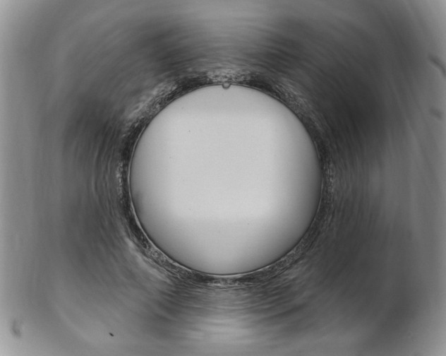 X0000103170690200808221128