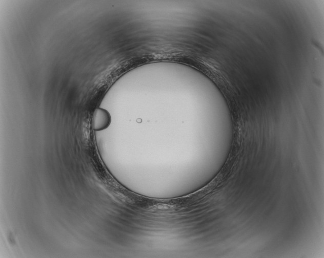 X0000103170691200808221128