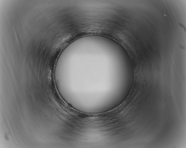 X0000103170692200808221128