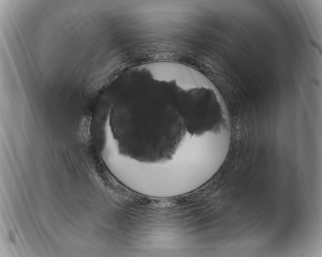 X0000103170695200808221128