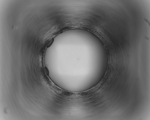 X0000103170696200808221128