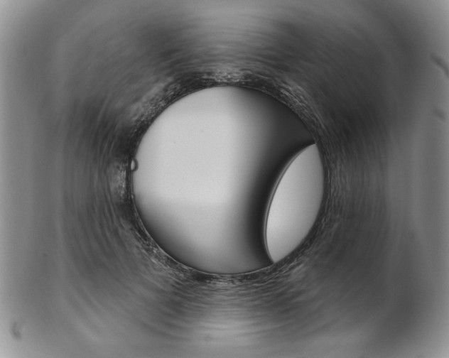 X0000103170697200808221128
