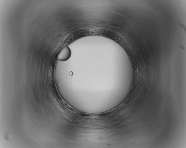 X0000103170698200808221128
