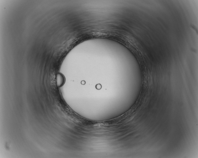 X0000103170700200808221128