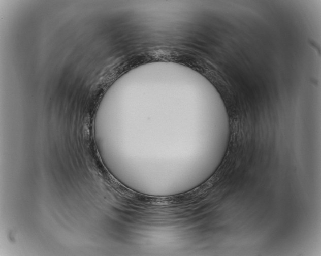 X0000103170702200808221128