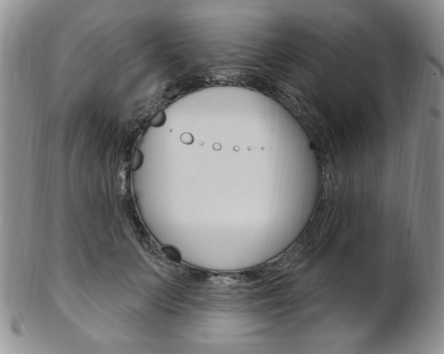 X0000103170703200808221128