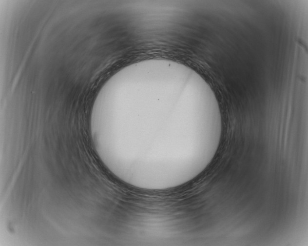 X0000103170705200808221128